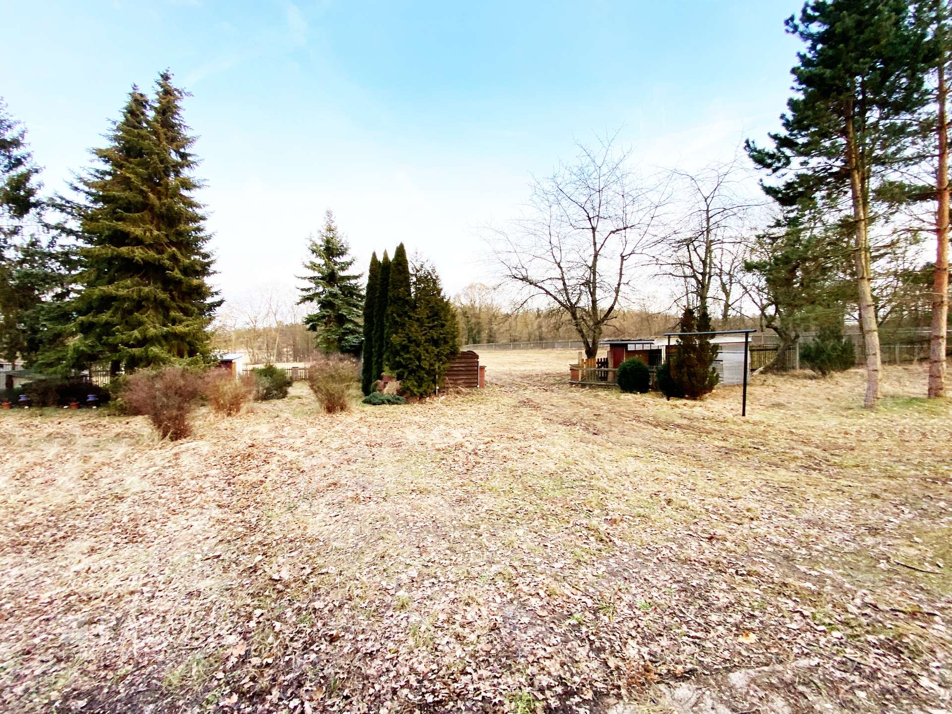 Wiese vor dem Haus